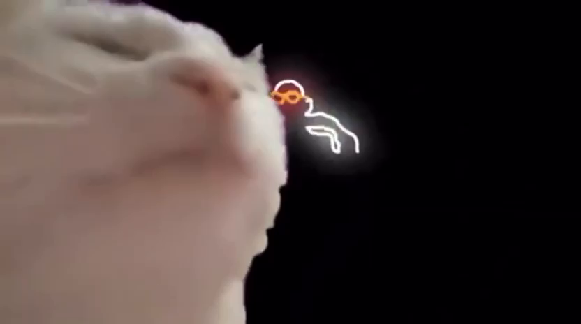 5d250ff5-9501-4491-93ad-e8bcb55b1872.mp4