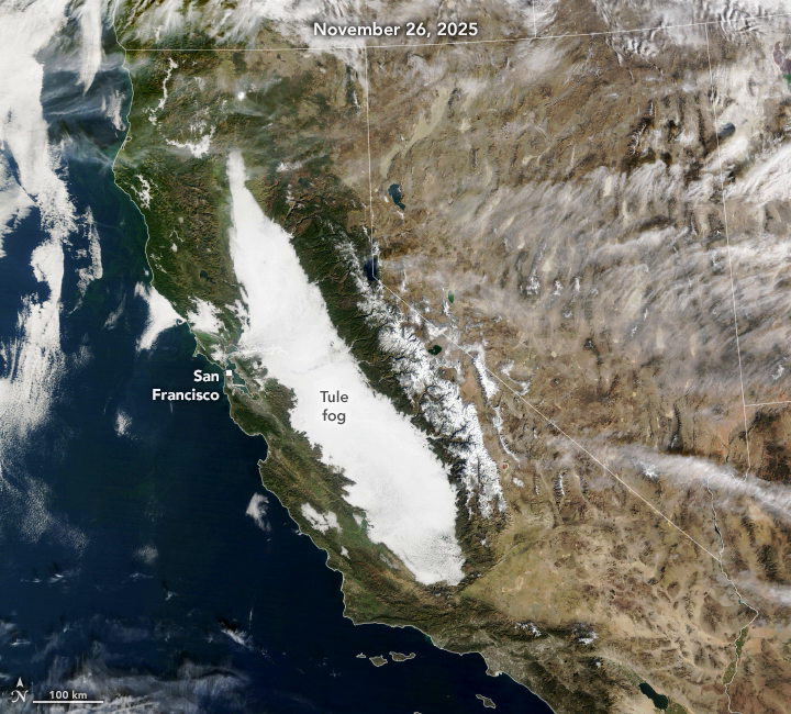 tulefog_tmo_vir_20251209.mp4