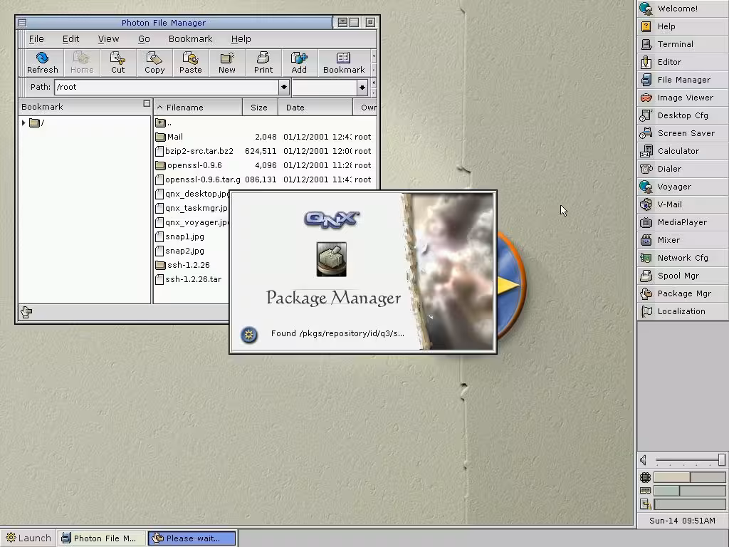 qnx_pkg_mgr_start