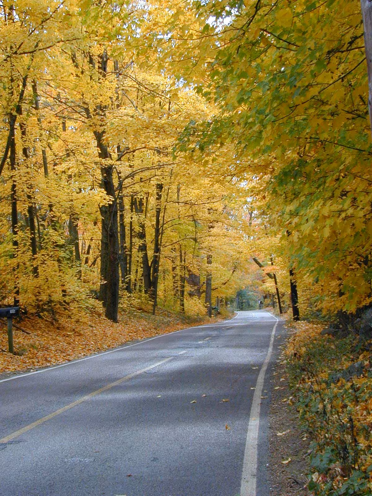 2001-10-20-weston-road1