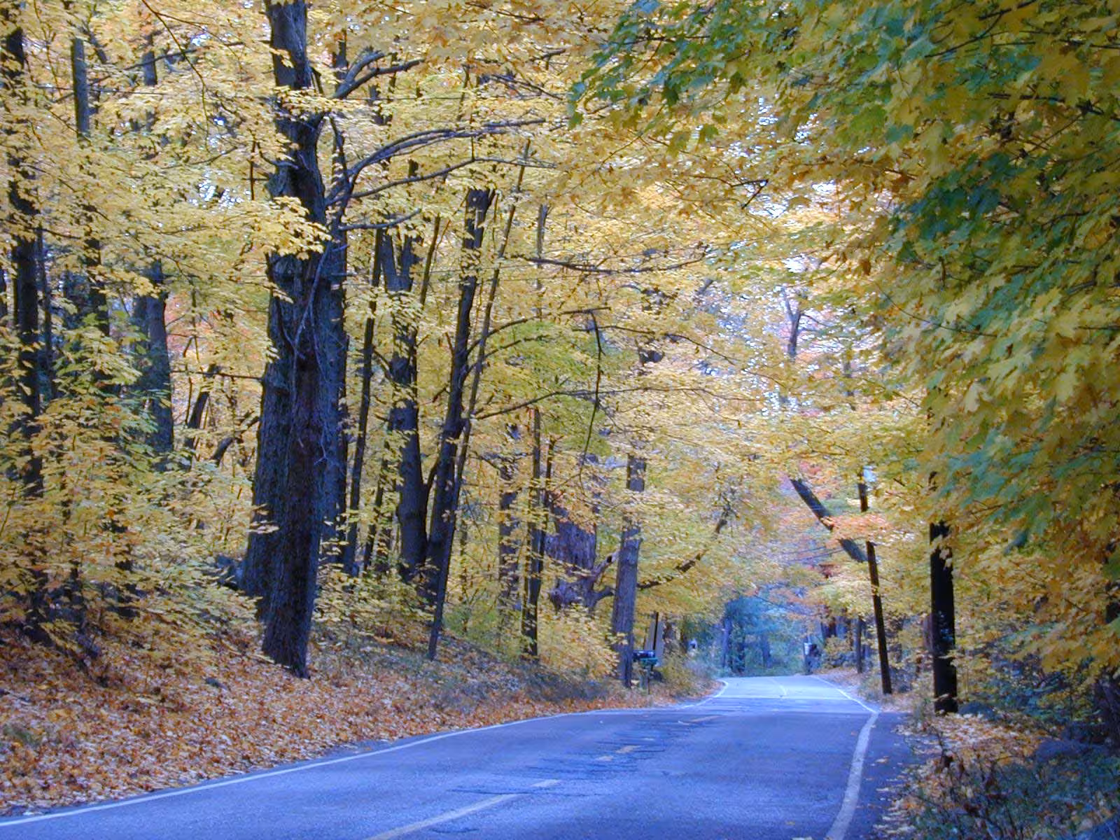 2001-10-20-weston-road2