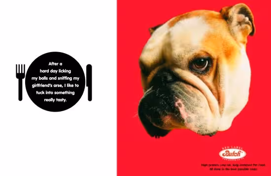 DOG5