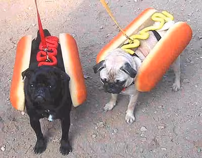 hotdogs