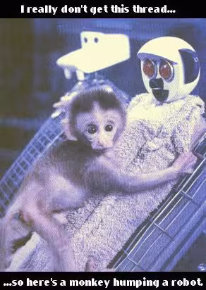monkey_hump