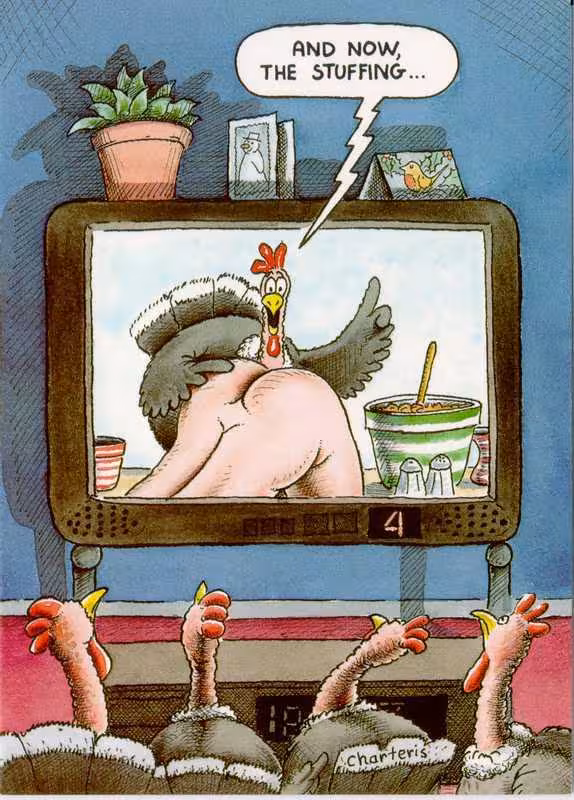 turkeys