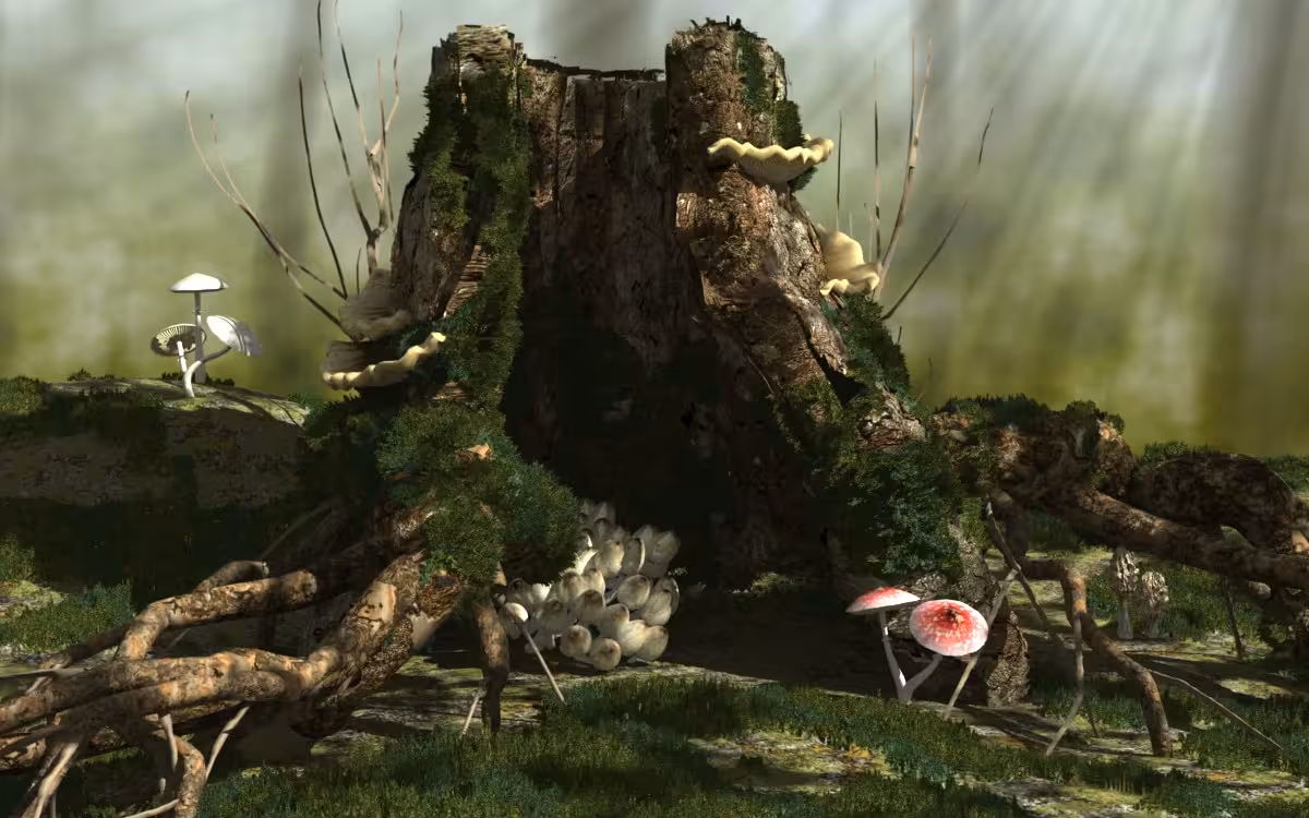 fungus