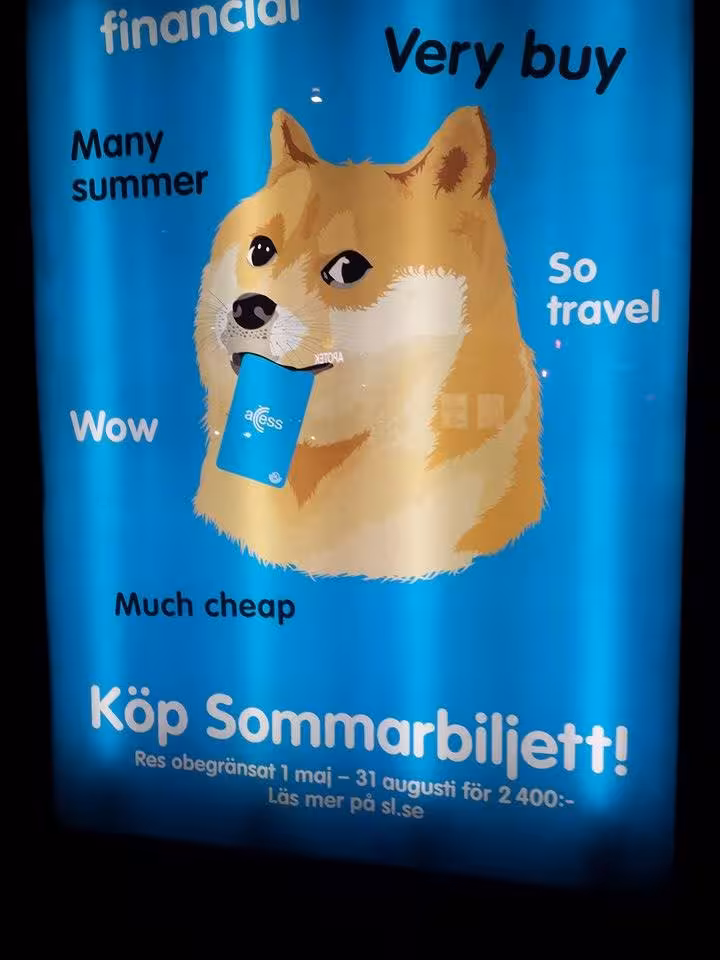 access-doge