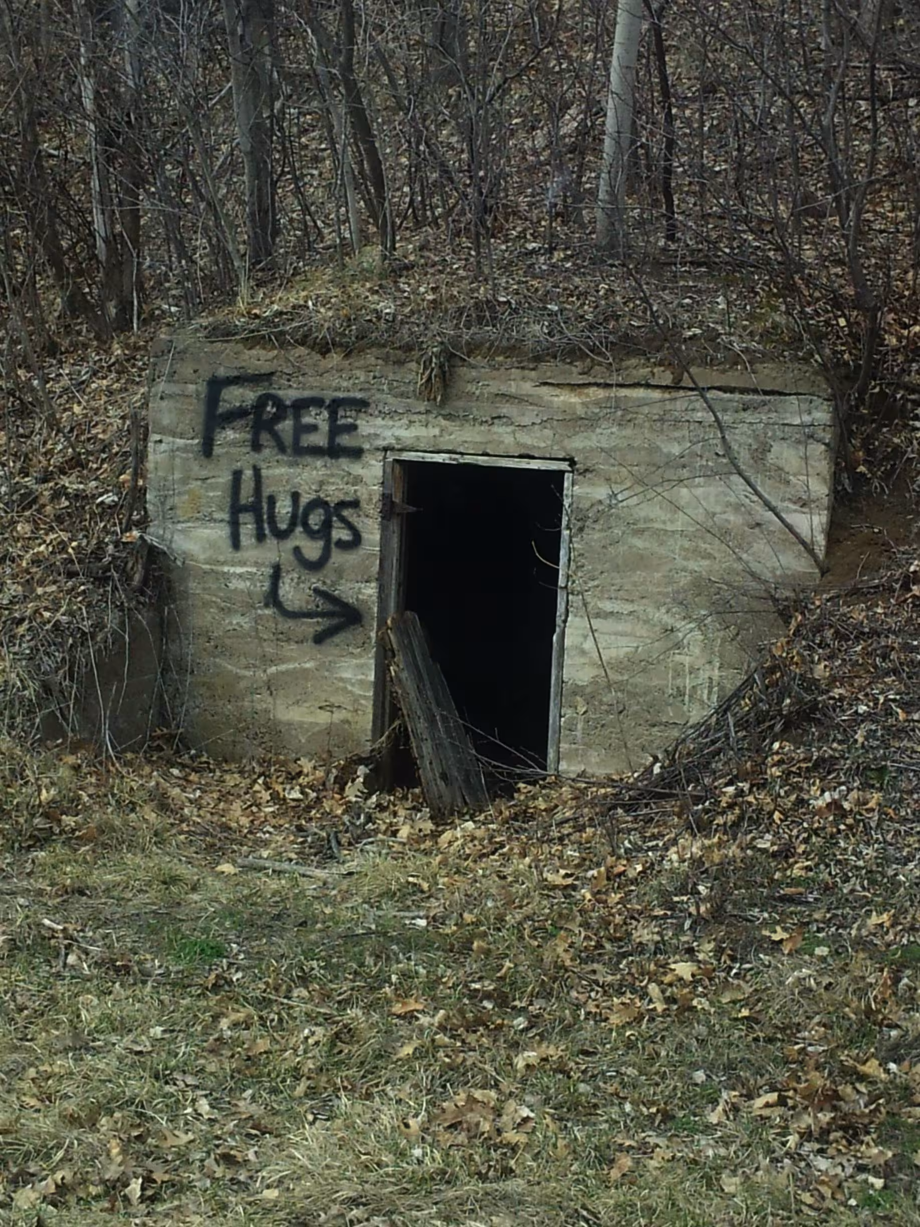 freehugs