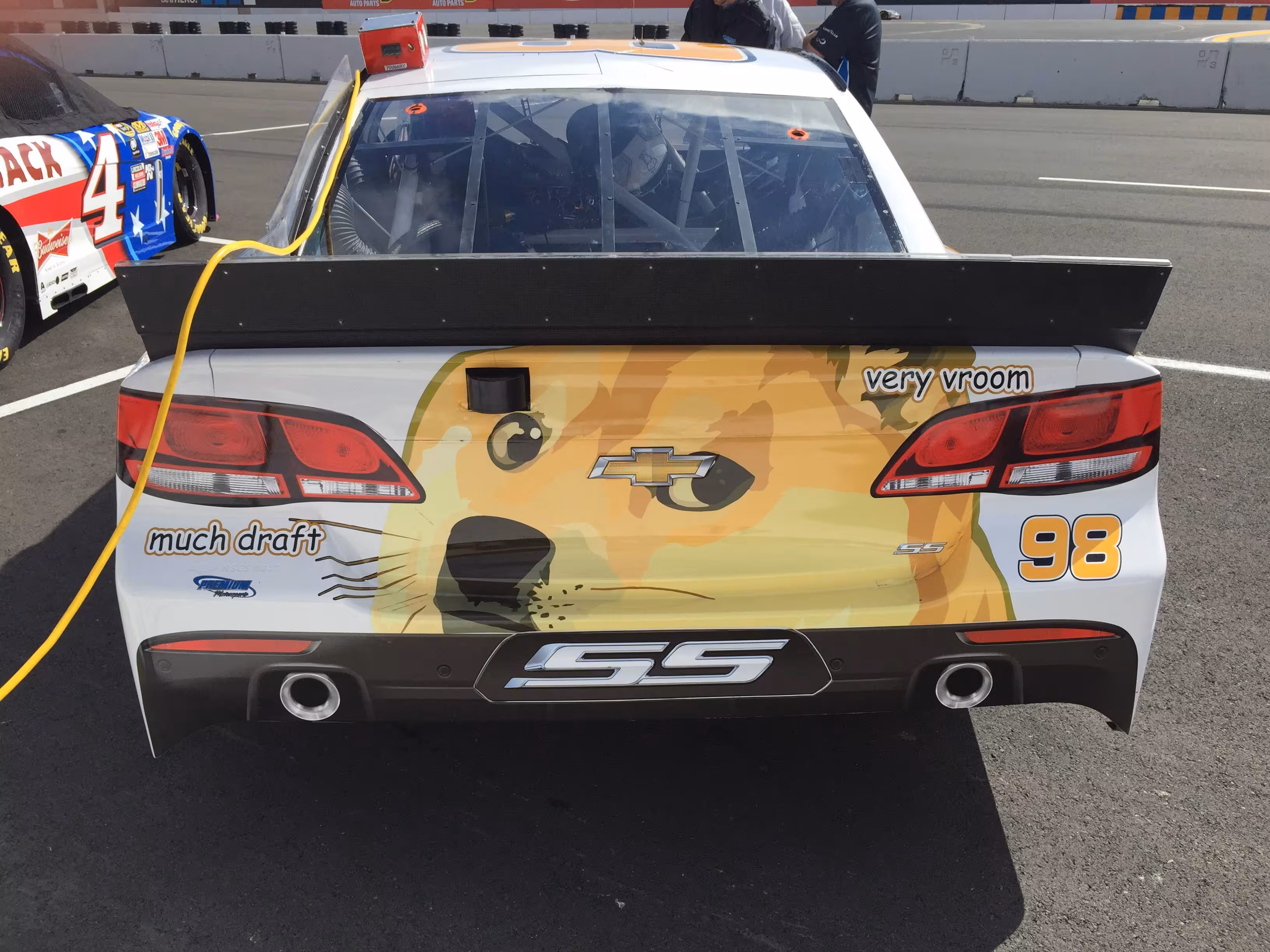 nascar-doge