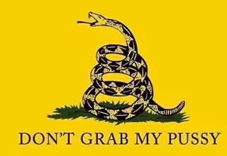 dont_grab_my_pussy