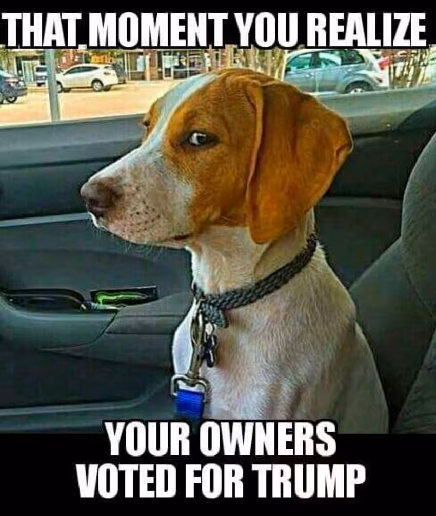 dog-owners-trump