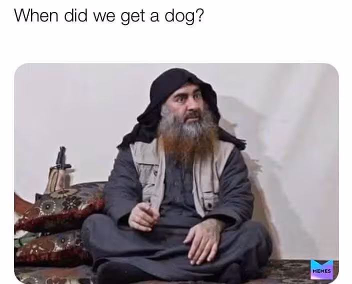 dog