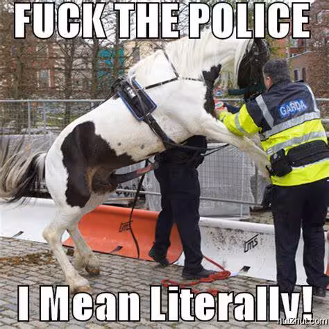 ftp_horse