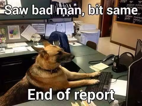 k9-report