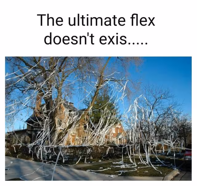 about-how-toilet-papering-a-house-is-now-a-flex-with-the-covid-19-outbreak-coronavirus-outbreak