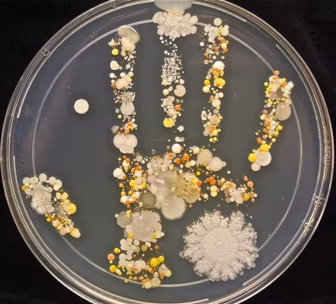 hand_germs