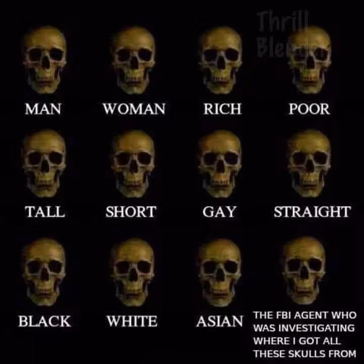 skulls