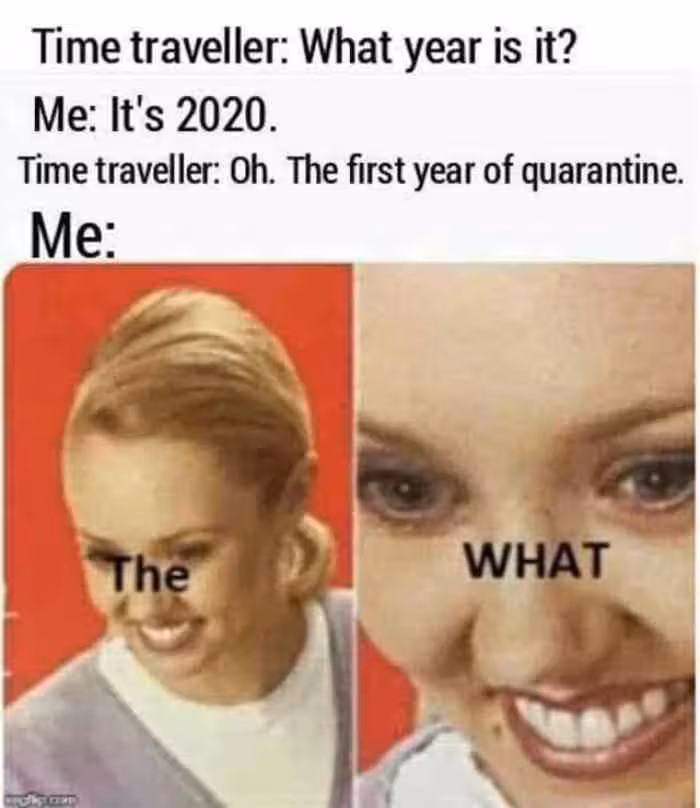 thefirstyear