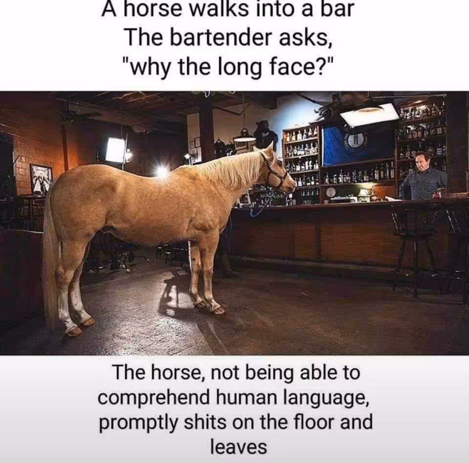 horses
