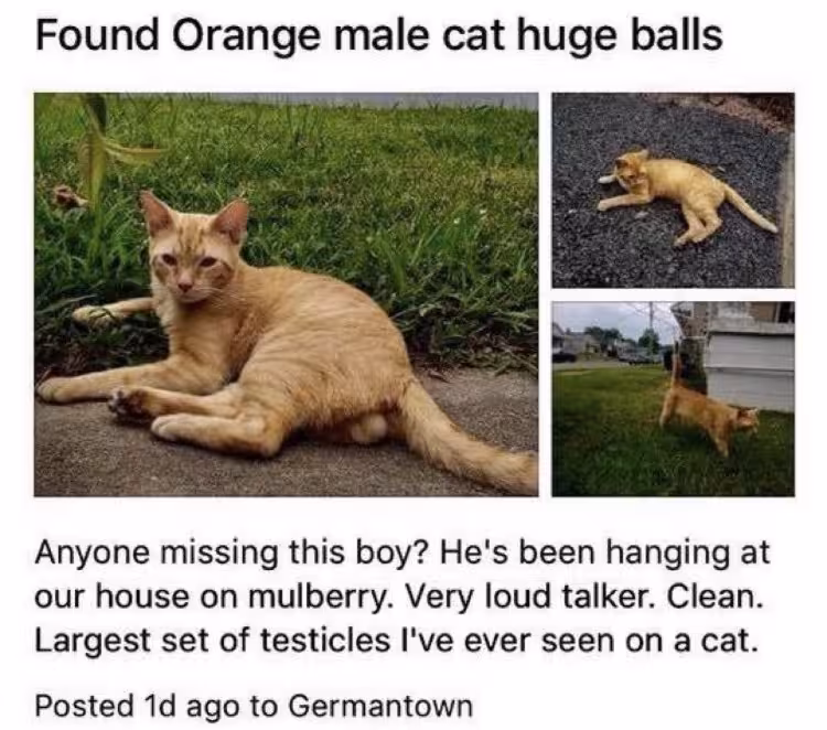 huge_balls