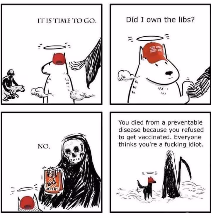 own_the_libs