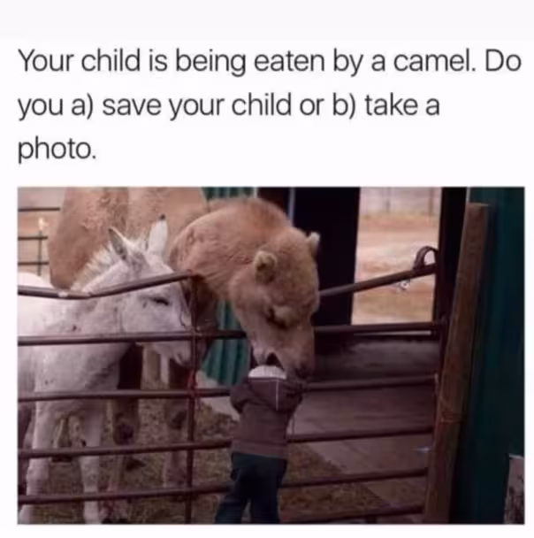 person-child-is-being-eaten-by-camel-do-save-child-or-b-take-photo