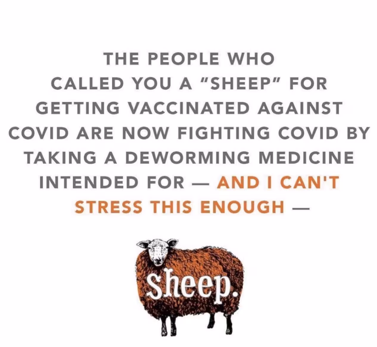 sheep_covid