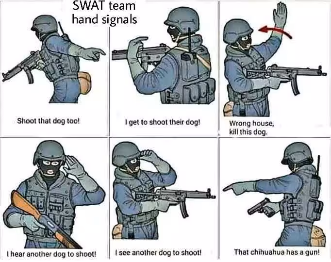 swat_team