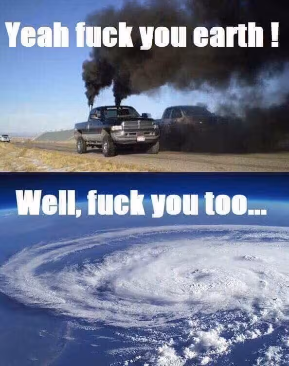 f_both