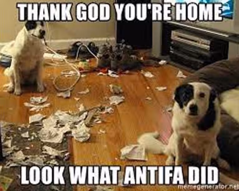 antifa_did_it-768x612