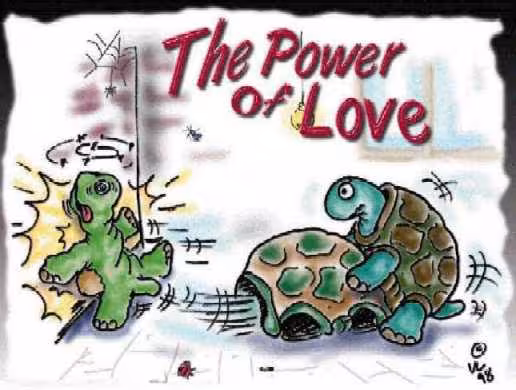 Turtle