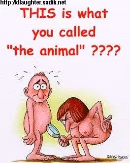 animal