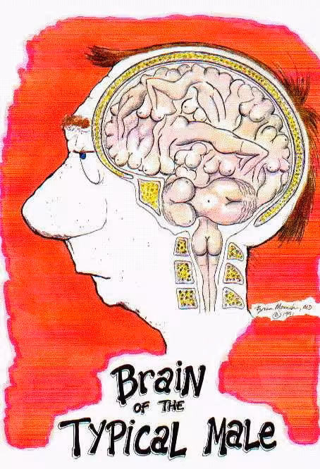 phord-manbrain