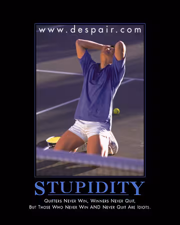stupid