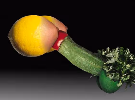 legu1