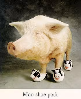 xmoo_shoe_pork