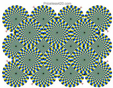 illusion.jpg