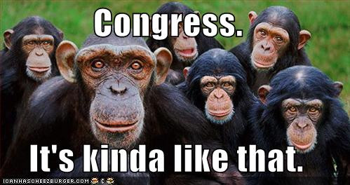 funny-pictures-congress-monkeys.jpg