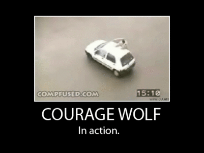 courage_wolf.gif