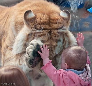 kid-and-tiger.jpg