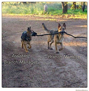 branch_manager.jpg