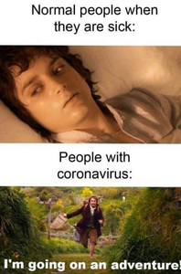 cronovirus.png