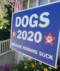 dogs_2020.jpg