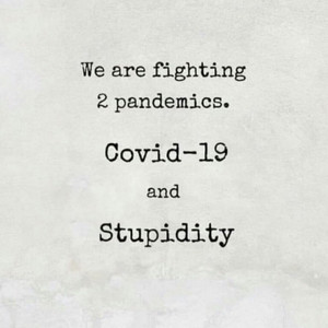 2pandemics.jpg