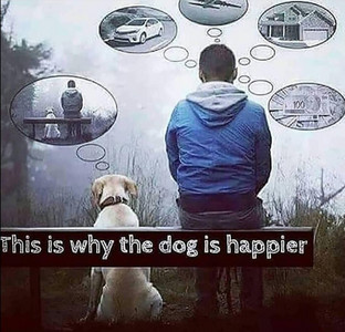 dog_is_happier.jpg