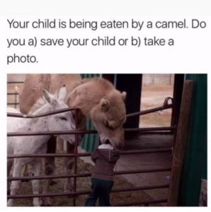 person-child-is-being-eaten-by-camel-do-save-child-or-b-take-photo.png