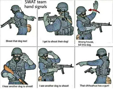 swat_team.jpg