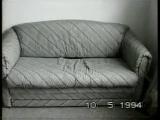 funny_cats_1.wmv.mp4